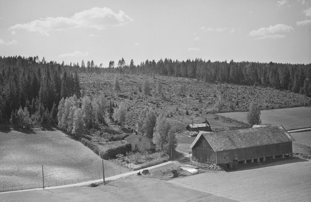Butteberg 29/1 Bergesidevegen 335/337. Foto: Widerøe AS 1958.