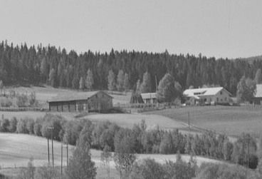 Berg søndre (mellom) 31/4 Bergesidevegen 384. Foto: Widerøe AS 1958.
