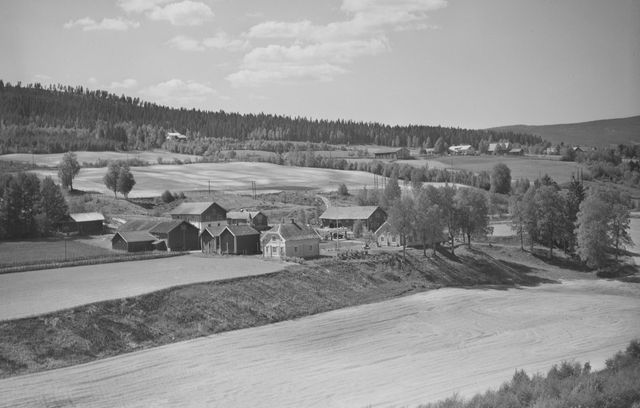 Haug 32/1 Vestsidevegen 261/263. Foto: Widerøe AS 1958.