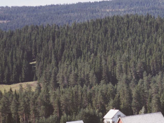 Nordhaug 34/42 Bergesidevegen 768. Foto: Widerøe AS - på 1960-tallet.