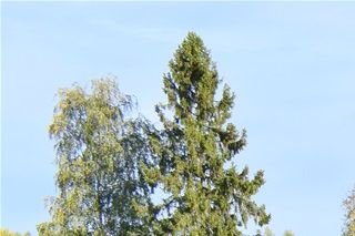 Båthuset og plassen ved vegen for utsetting av bår.