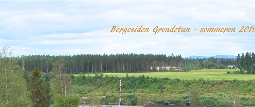 Bildet viser Bergesiden Grendetun (Halvorseth nordre 30/2).